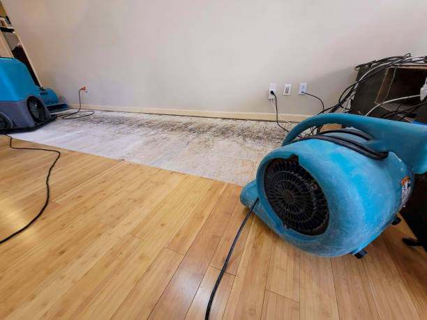 Professional Burst Pipe Water Damage technician working in Madison, SD